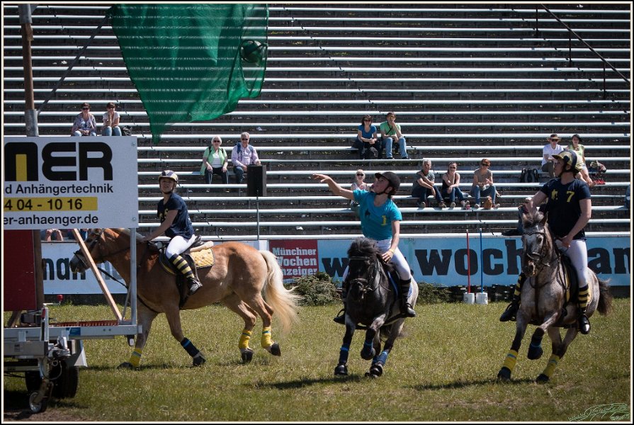 Pferd International 032